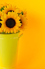 Obraz premium Sunflowers in vase