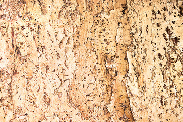 texture of the cork material