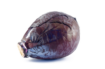 cabbage