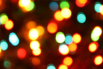 Color christmas lights on the tree