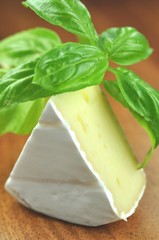 Basilikum mit Käse