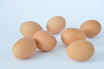 Eier