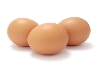 egg