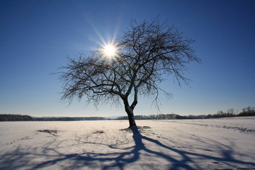 Winterlandschaft