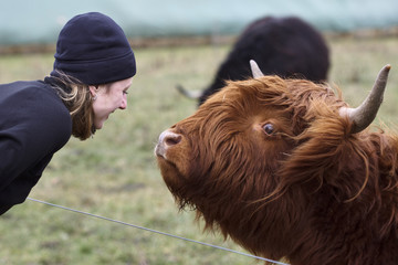 The Woman and the Highland Cow