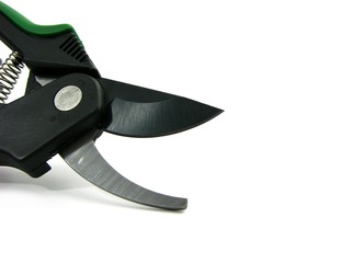 Gartenschere - Rosenschere