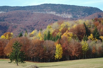 couleurs d'automne