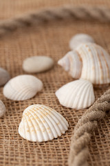 shell laing on jute