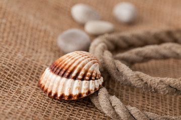 shell laing on jute