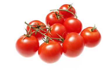 Fresh red tomatoes on the vine