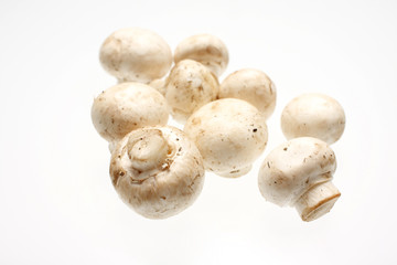 Crimini mushrooms isolated on white.