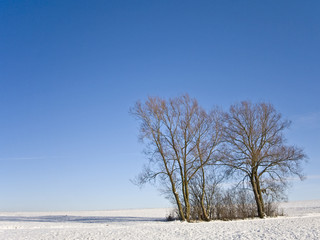 Winterlandschaft