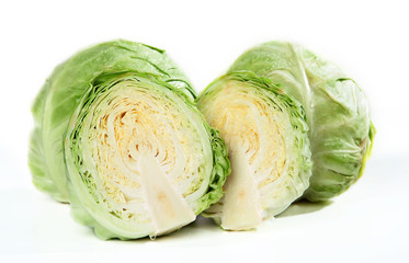 Head of Cabbage