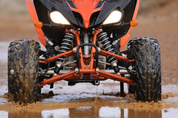 Quad eyes
