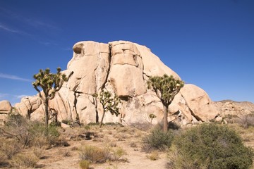 Rock climbers atop boulders Hidden Valley, Joshua Tree NP