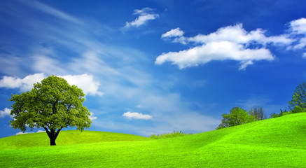 Fototapeta premium Green landscape and cloudy sky