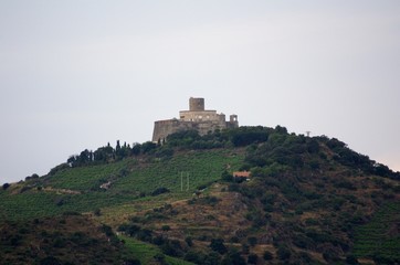 Obraz premium SONY DSC