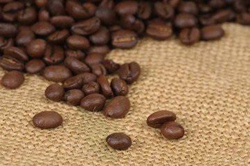 Coffee beans in a sack