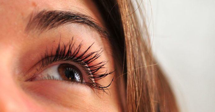 regard