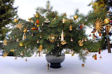 Weihnachten_d0428