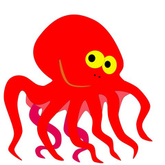 octopus