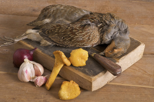 perdreau