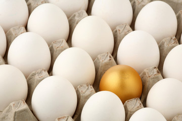 Gold egg among white in cardboard container