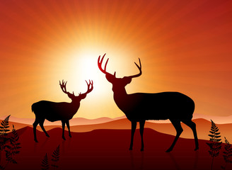 Deer on sunset background