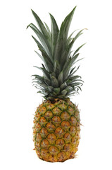 Fototapeta premium Yellow Golden Pineapple