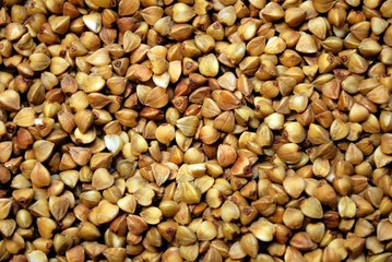 buckwheat kernel