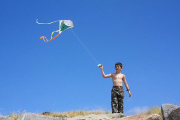 cerf volant