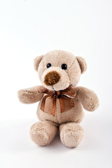 teddy bear on white background