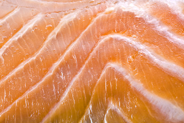 pescado, dieta moderna, salmon