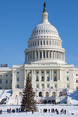 Fototapeta na wymiar Capitol Building, winter