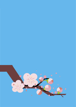 梅
