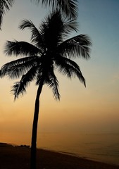 Naklejka na ściany i meble Palma. Sunset on the beach.