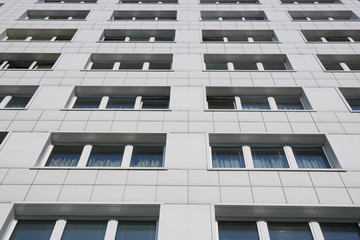 Social House Building