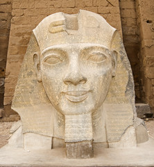 Fototapeta na wymiar Head of Ramesses II at Luxor Temple