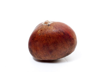 Chestnut
