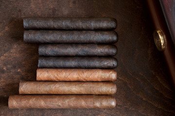 cigar