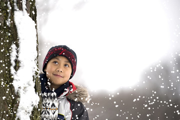 Watching Snowflakes