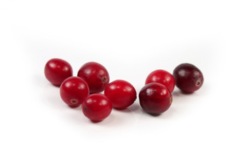 Red cranberry on white