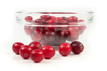 Red cranberry on white