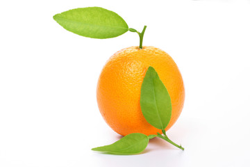 Orange fruit on white
