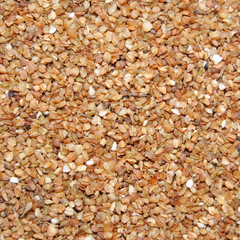 brown buckwheat grains