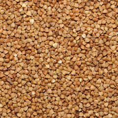 brown buckwheat grains