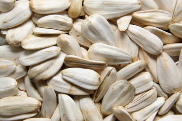 sunflower grains