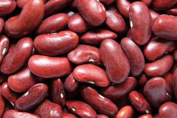 bean grains