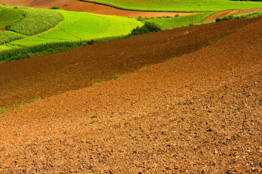 Fototapeta ploughed fields