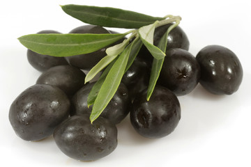 Schwarze Oliven mit Olivenzweig